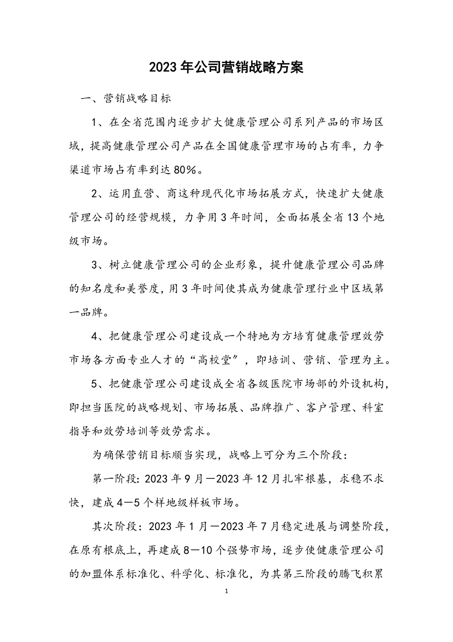 2023年公司营销战略方案.docx_第1页