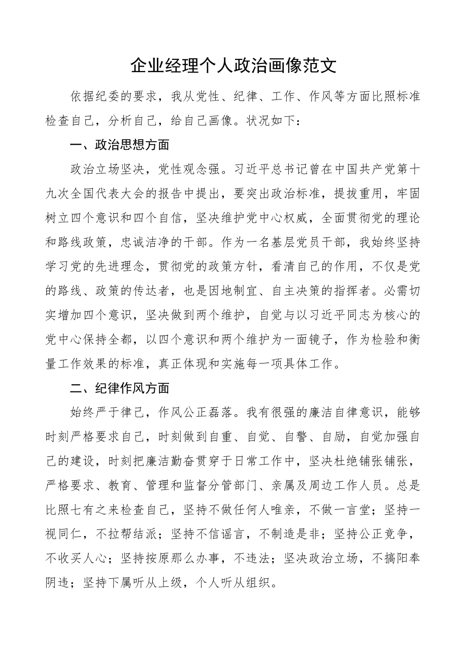 2023年企业经理个人政治画像集团公司.doc_第1页