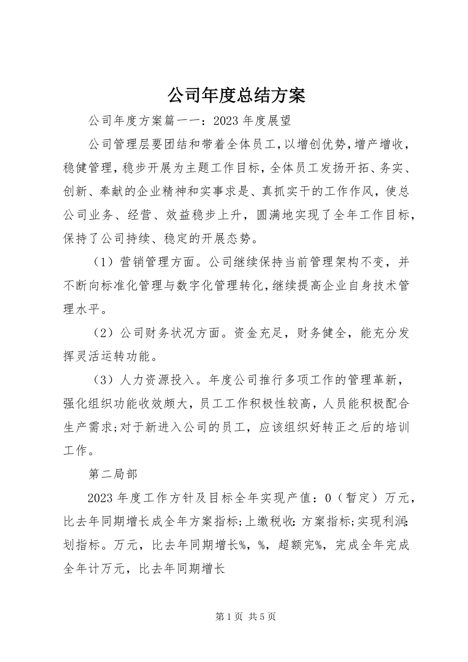 2023年公司年度总结计划.docx_第1页