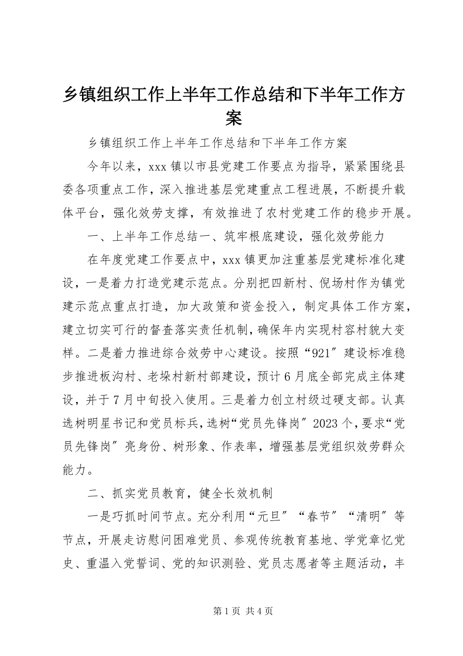 2023年乡镇组织工作上半年工作总结和下半年工作计划.docx_第1页