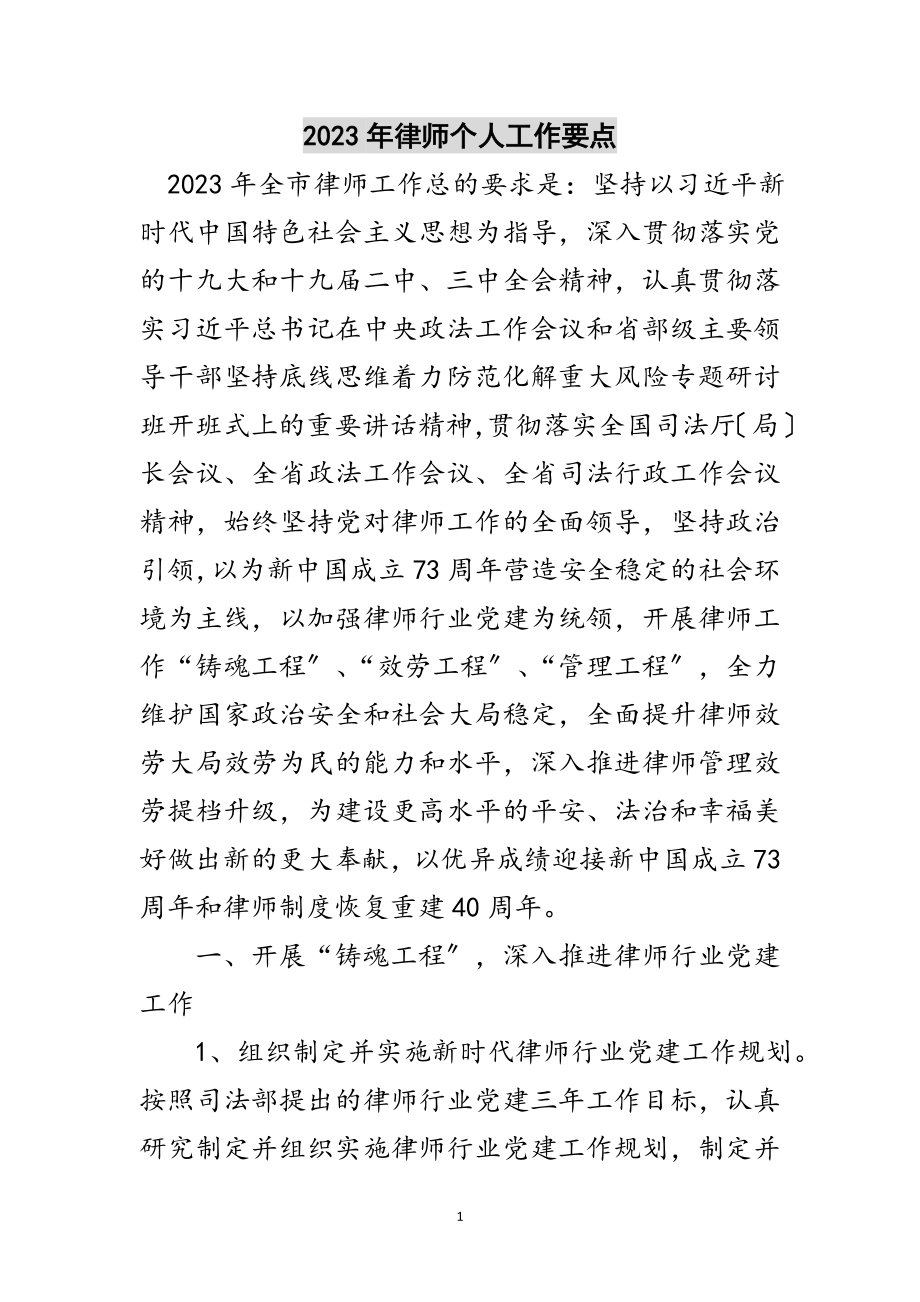 2023年年律师个人工作要点范文.doc_第1页