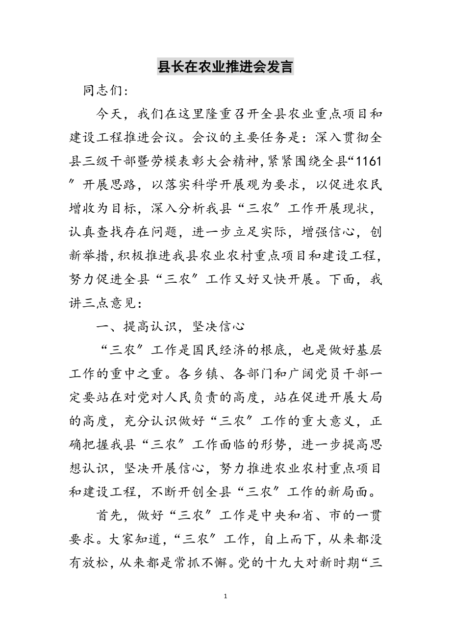 2023年县长在农业推进会发言范文.doc_第1页