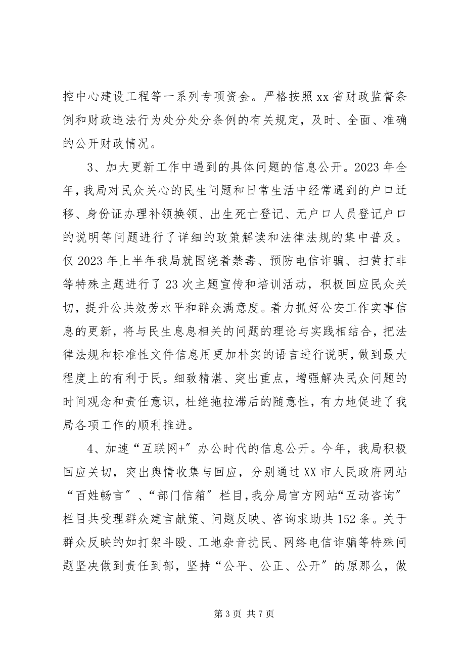 2023年区公安分局度政务信息公开总结.docx_第3页