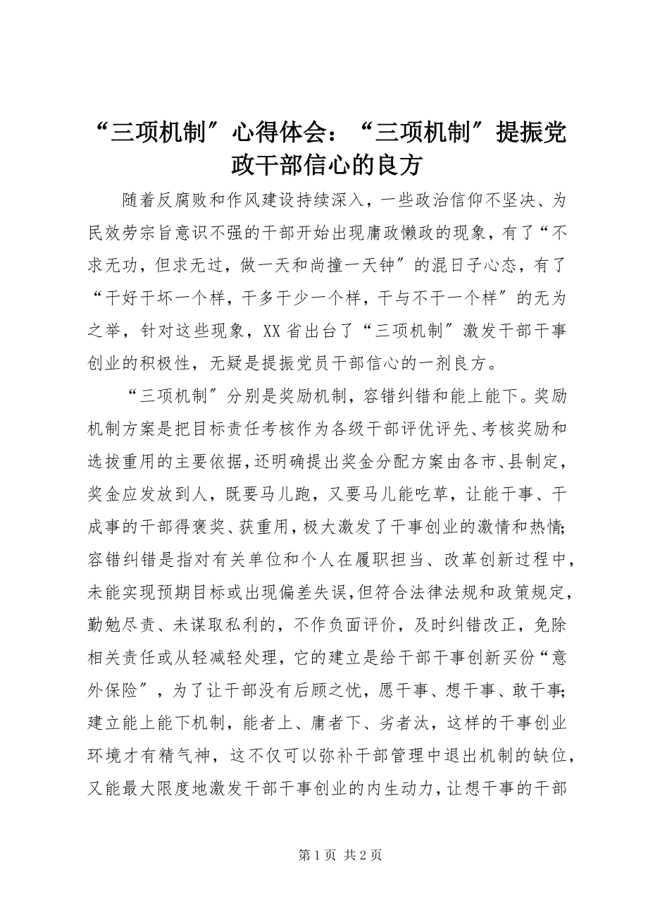 2023年三项机制心得体会三项机制提振党政干部信心的良方.docx_第1页