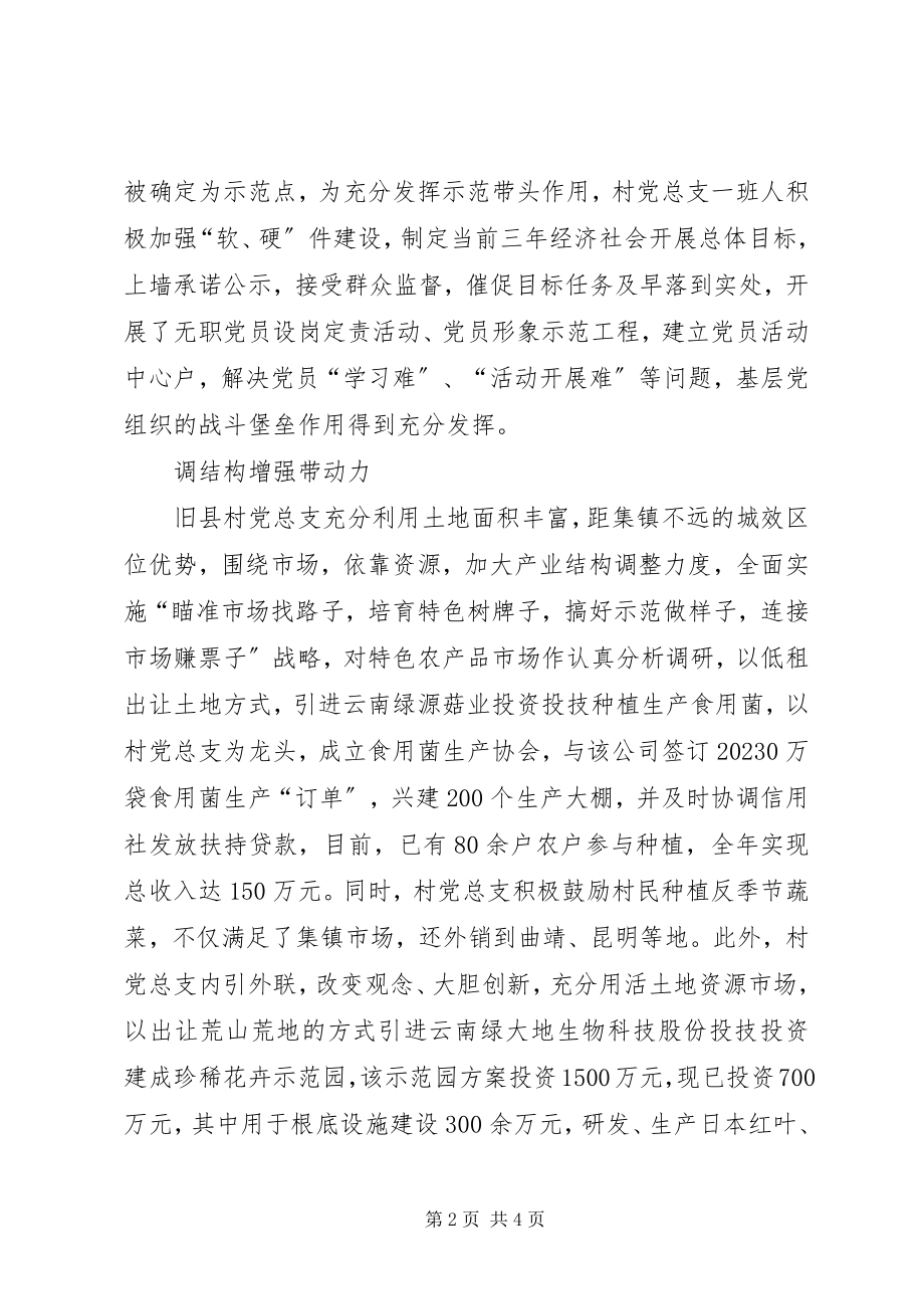 2023年记旧县镇旧县村党总支.docx_第2页