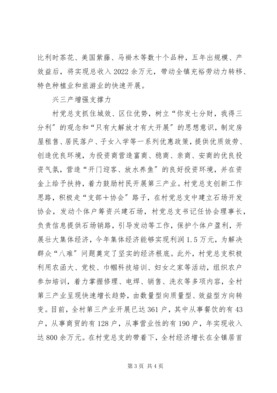 2023年记旧县镇旧县村党总支.docx_第3页