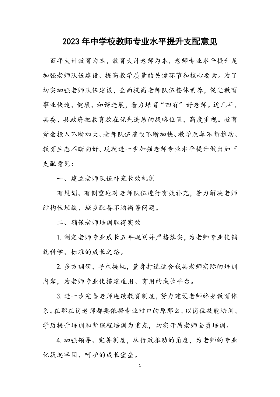 2023年中小学教师专业水平提升安排意见.docx_第1页