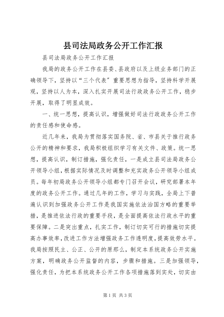 2023年县司法局政务公开工作汇报.docx_第1页