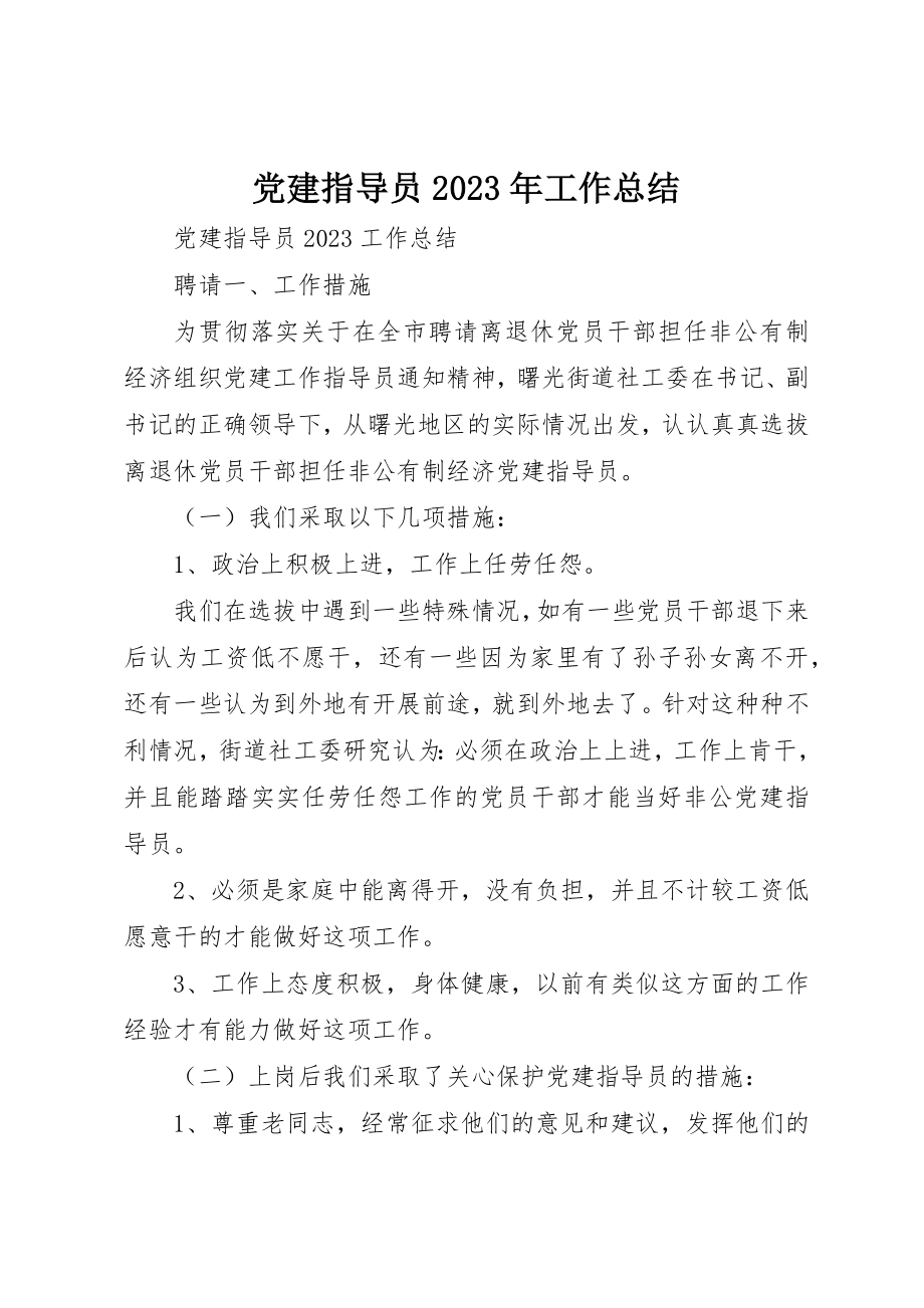 2023年党建指导员某年工作总结.docx_第1页