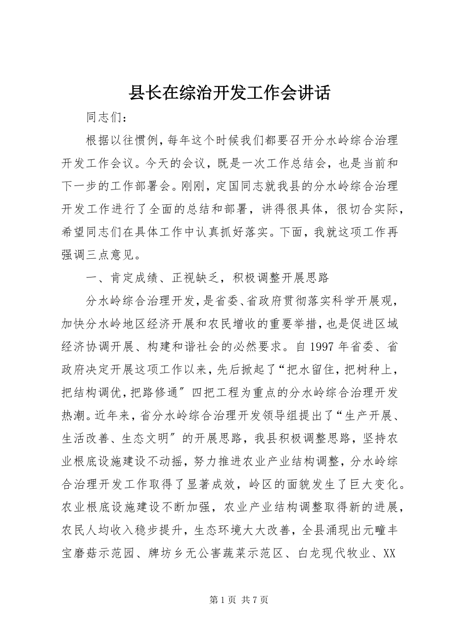 2023年县长在综治开发工作会致辞.docx_第1页