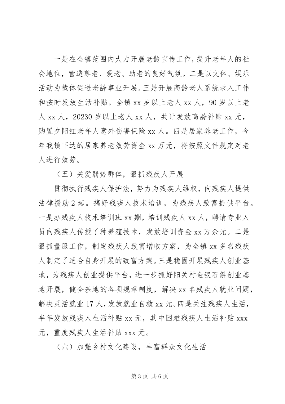 2023年乡镇社事办半年工作总结2.docx_第3页