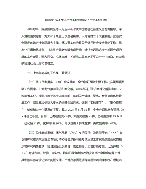 政法委2023年上半年工作总结及下半年工作打算.docx