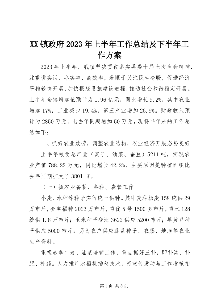 2023年XX镇政府上半年工作总结及下半年工作计划新编.docx_第1页