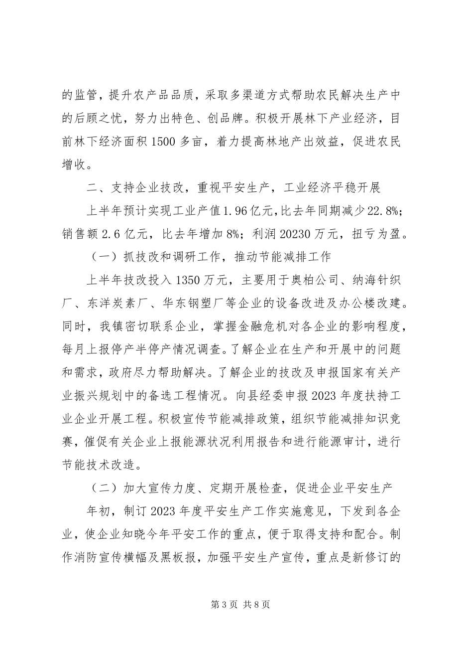 2023年XX镇政府上半年工作总结及下半年工作计划新编.docx_第3页