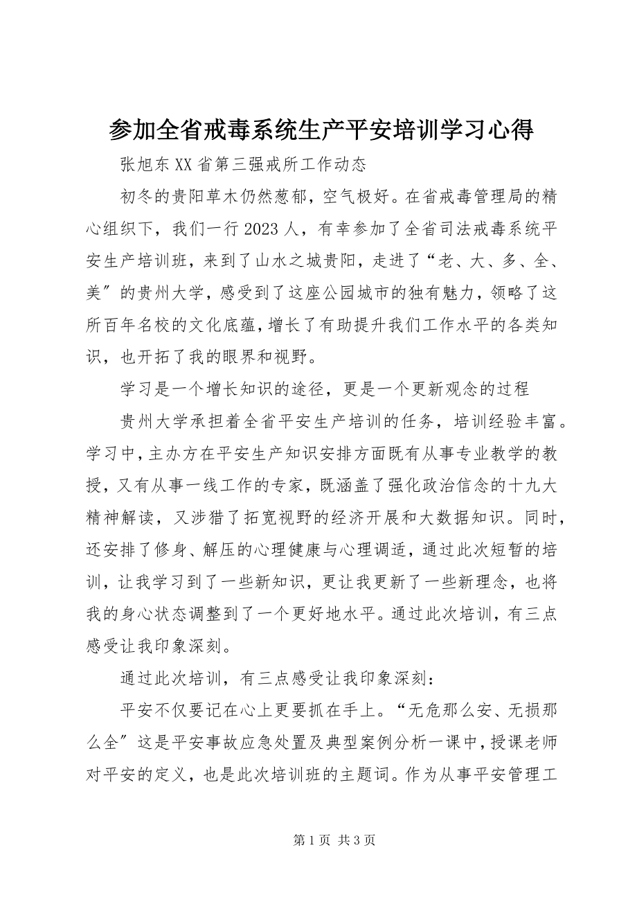 2023年参加全省戒毒系统生产安全培训学习心得新编.docx_第1页