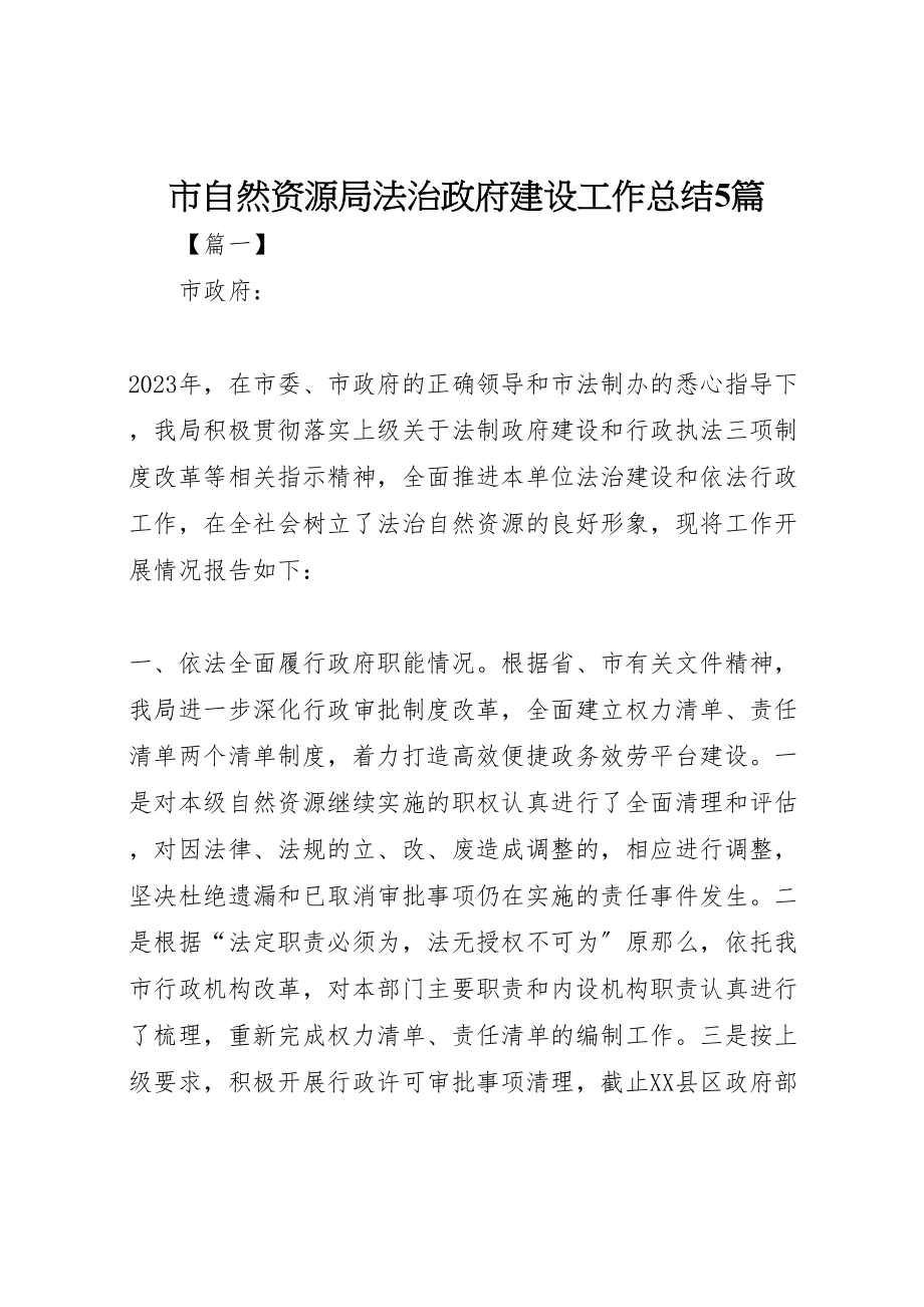 2023年市自然资源局法治政府建设工作总结5篇.doc_第1页