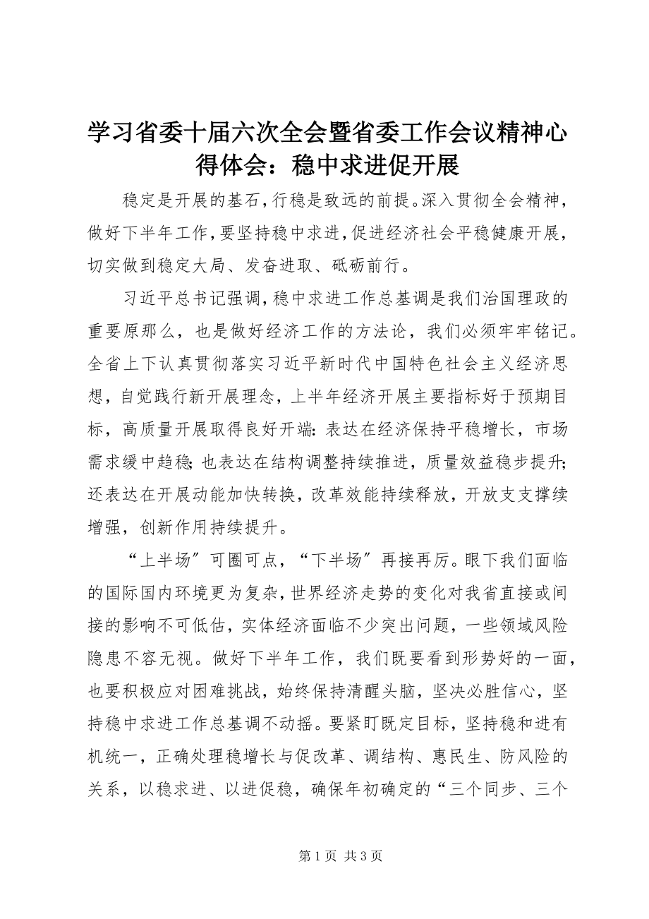 2023年学习省委十届六次全会暨省委工作会议精神心得体会稳中求进促发展.docx_第1页