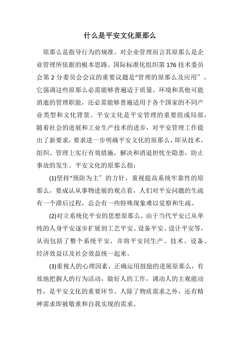 2023年什么是安全文化原则.docx_第1页