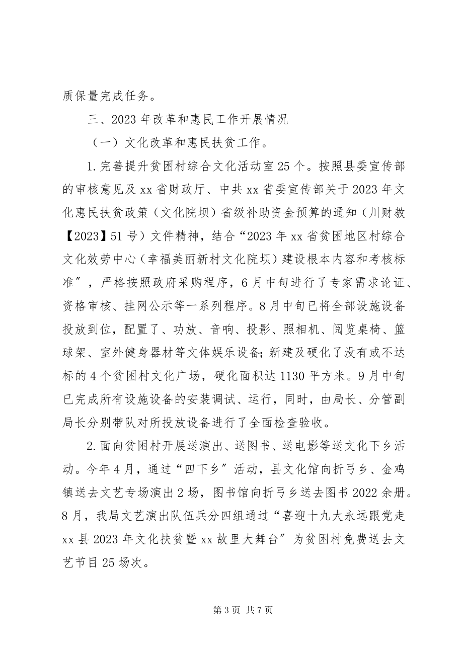 2023年文化惠民及改革工作总结.docx_第3页