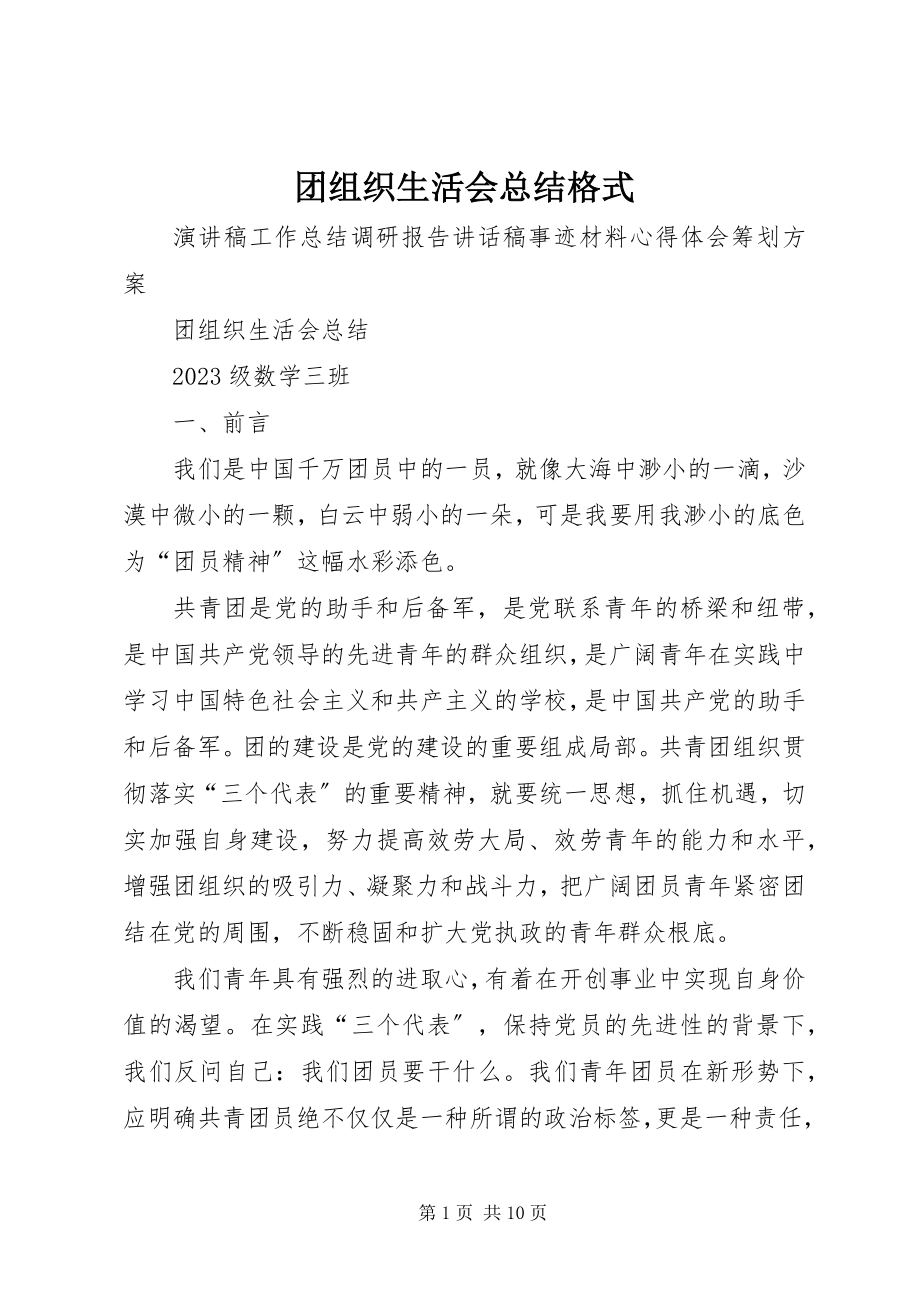 2023年团组织生活会总结格式.docx_第1页