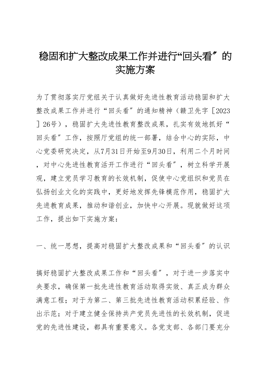 2023年巩固和扩大整改成果工作并进行回头看的实施方案 4.doc_第1页