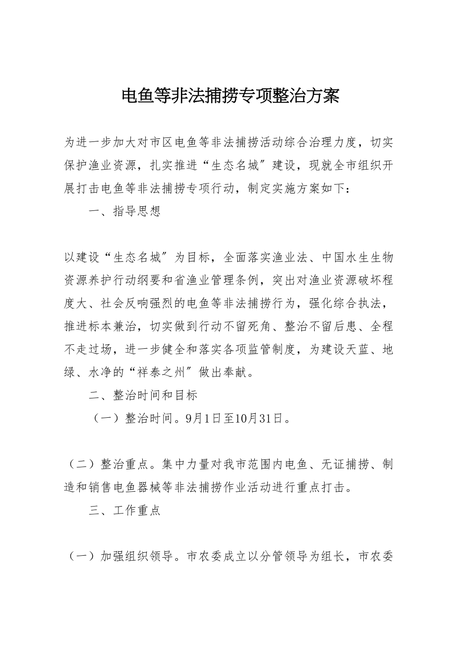 2023年电鱼等非法捕捞专项整治方案.doc_第1页