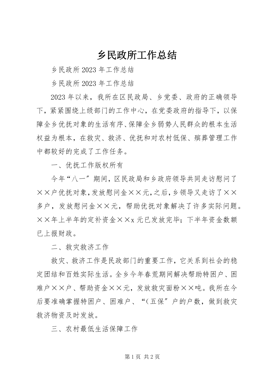 2023年乡民政所工作总结.docx_第1页