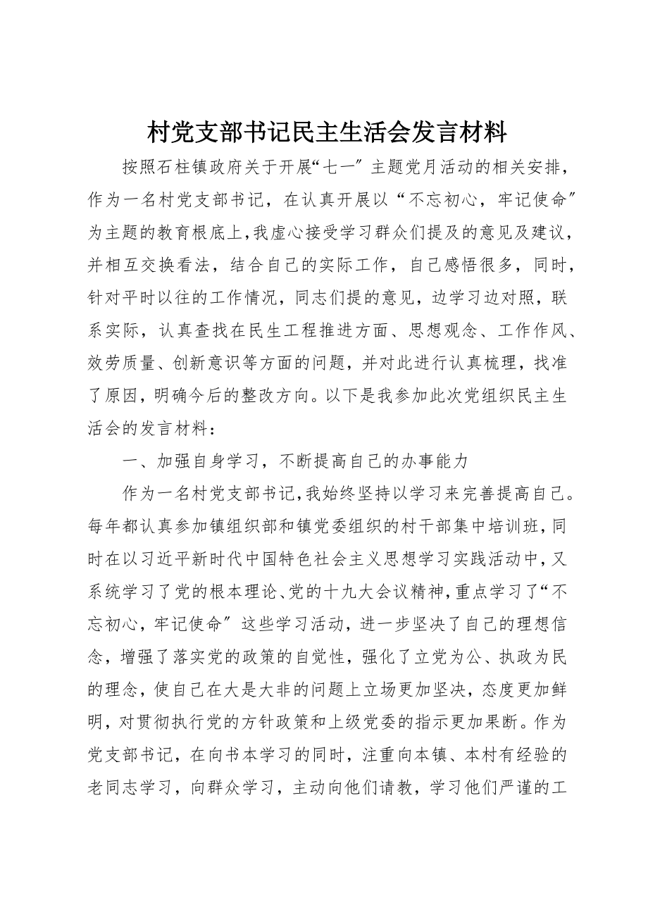 2023年村党支部书记民主生活会讲话材料新编.docx_第1页