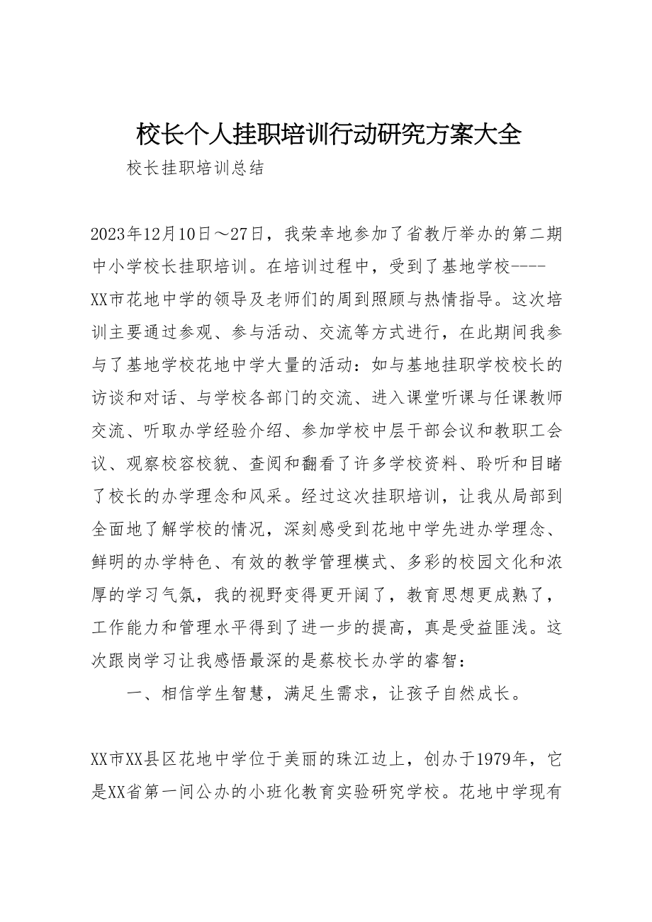 2023年校长个人挂职培训行动研究方案大全 .doc_第1页