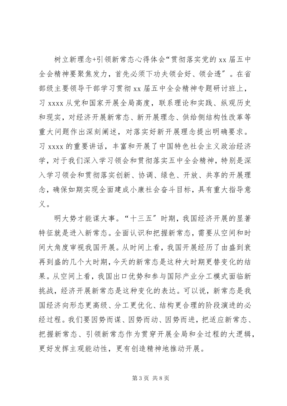 2023年树立新理念引领新常态心得体会.docx_第3页