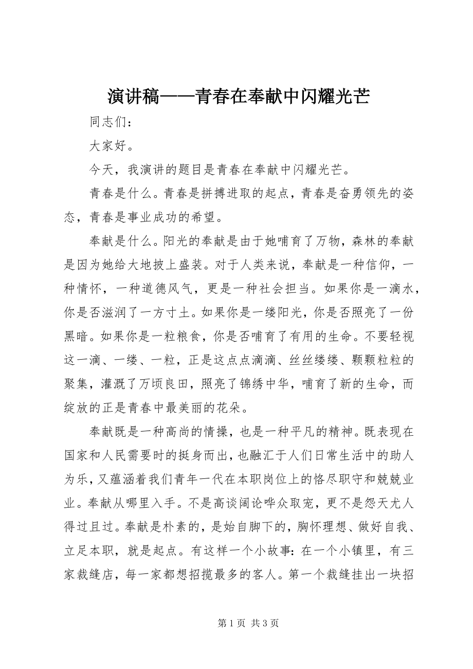 2023年演讲稿青春在奉献中闪耀光芒2.docx_第1页