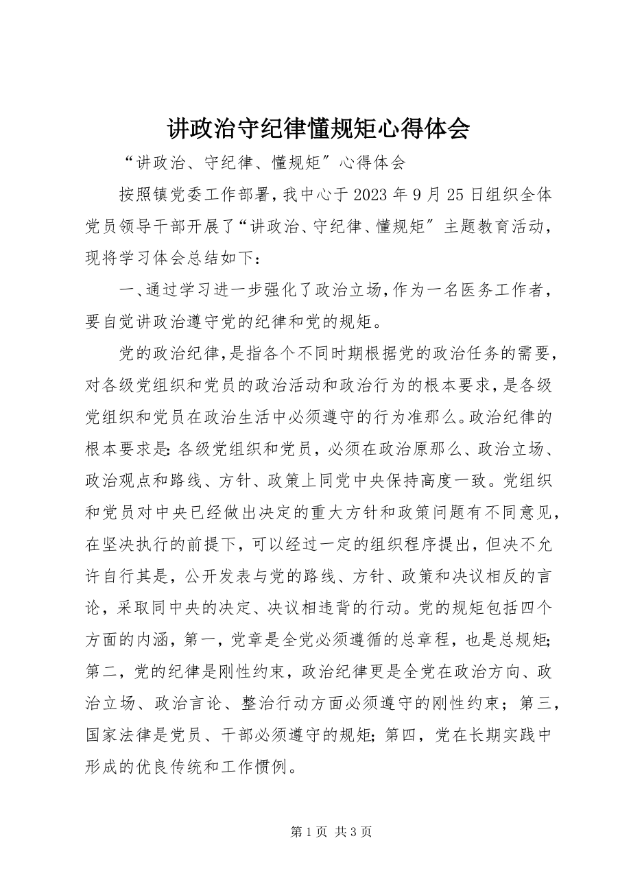 2023年讲政治守纪律懂规矩心得体会.docx_第1页