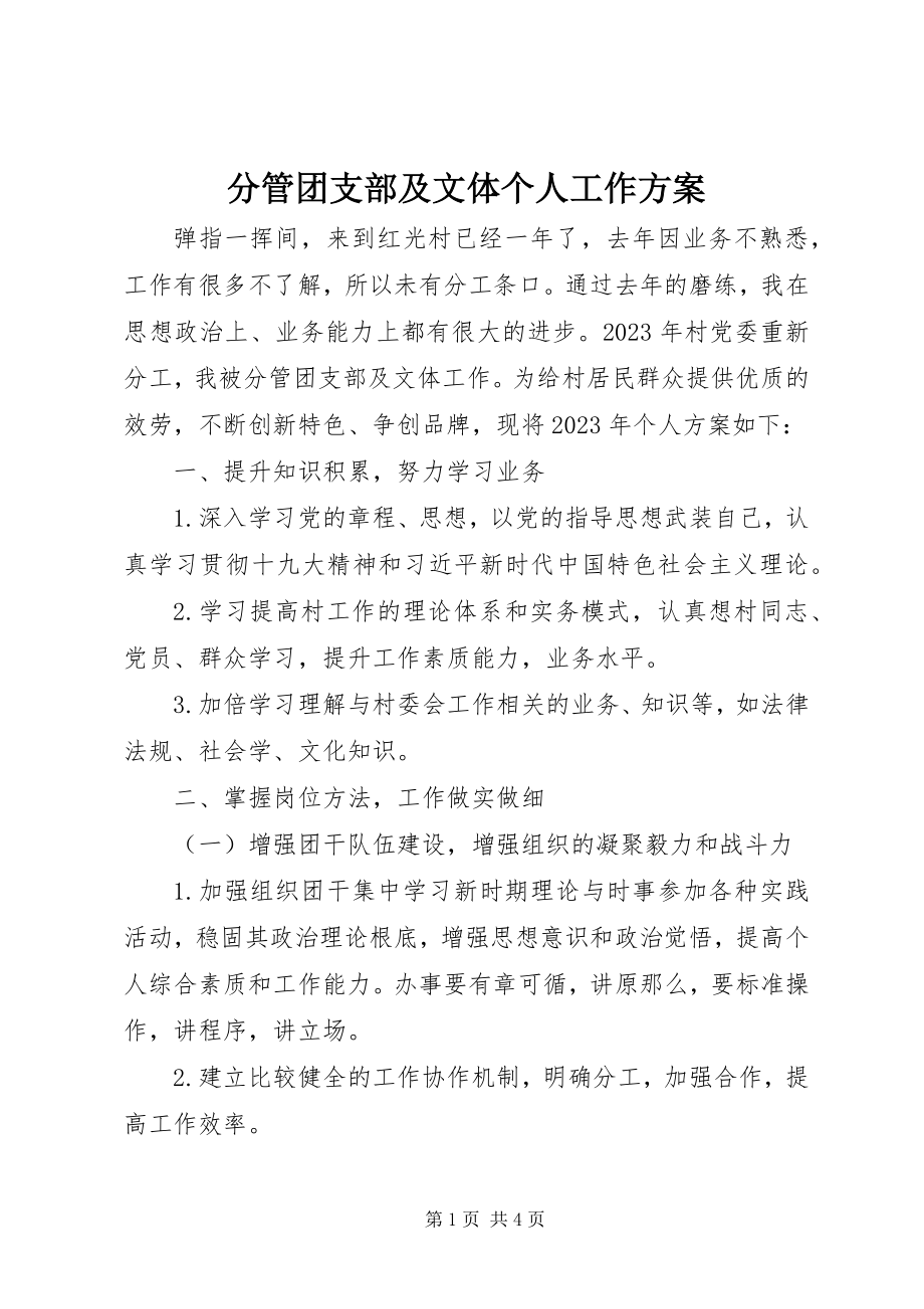 2023年分管团支部及文体个人工作计划.docx_第1页