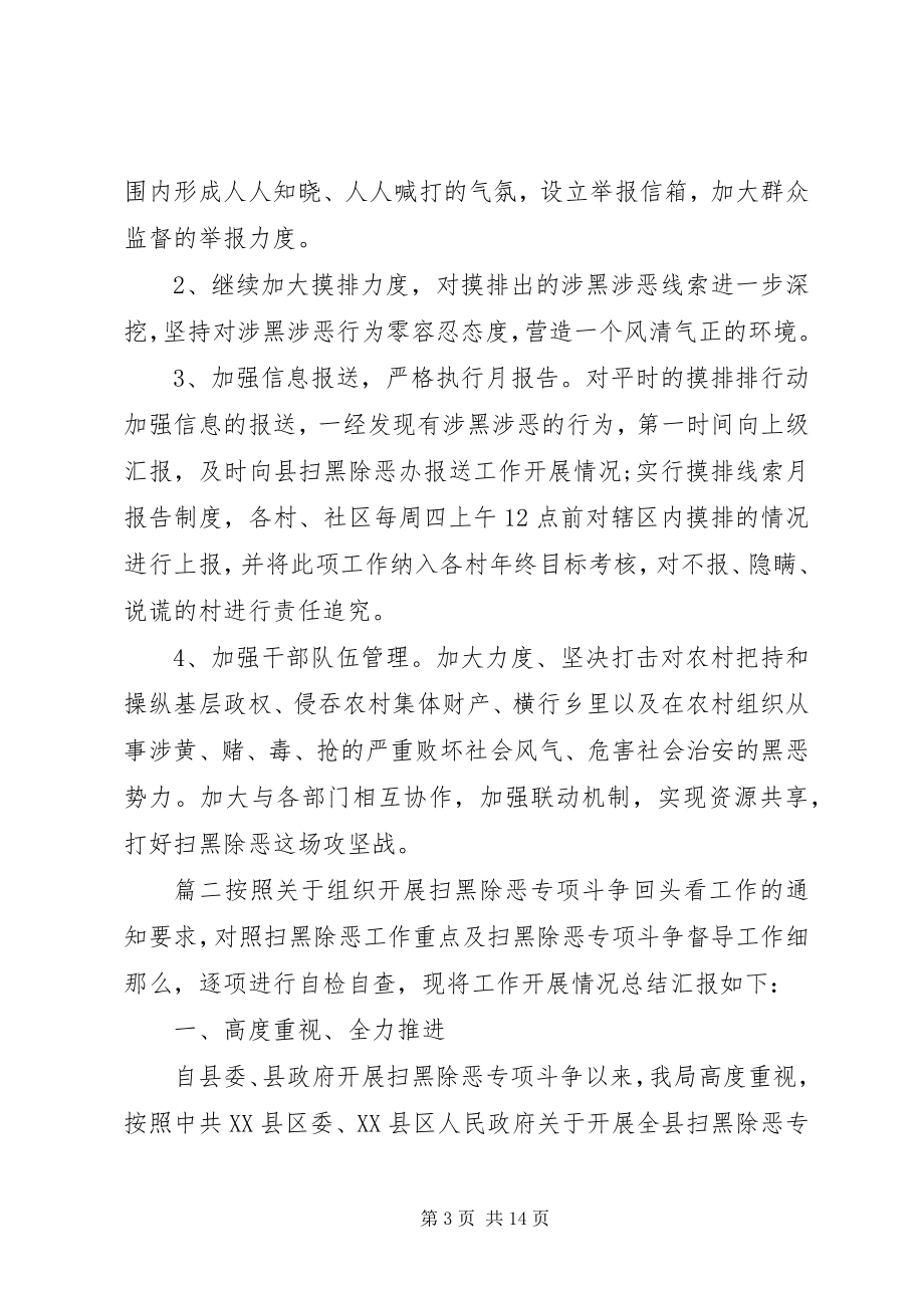 2023年县级扫黑除恶年度总结.docx_第3页