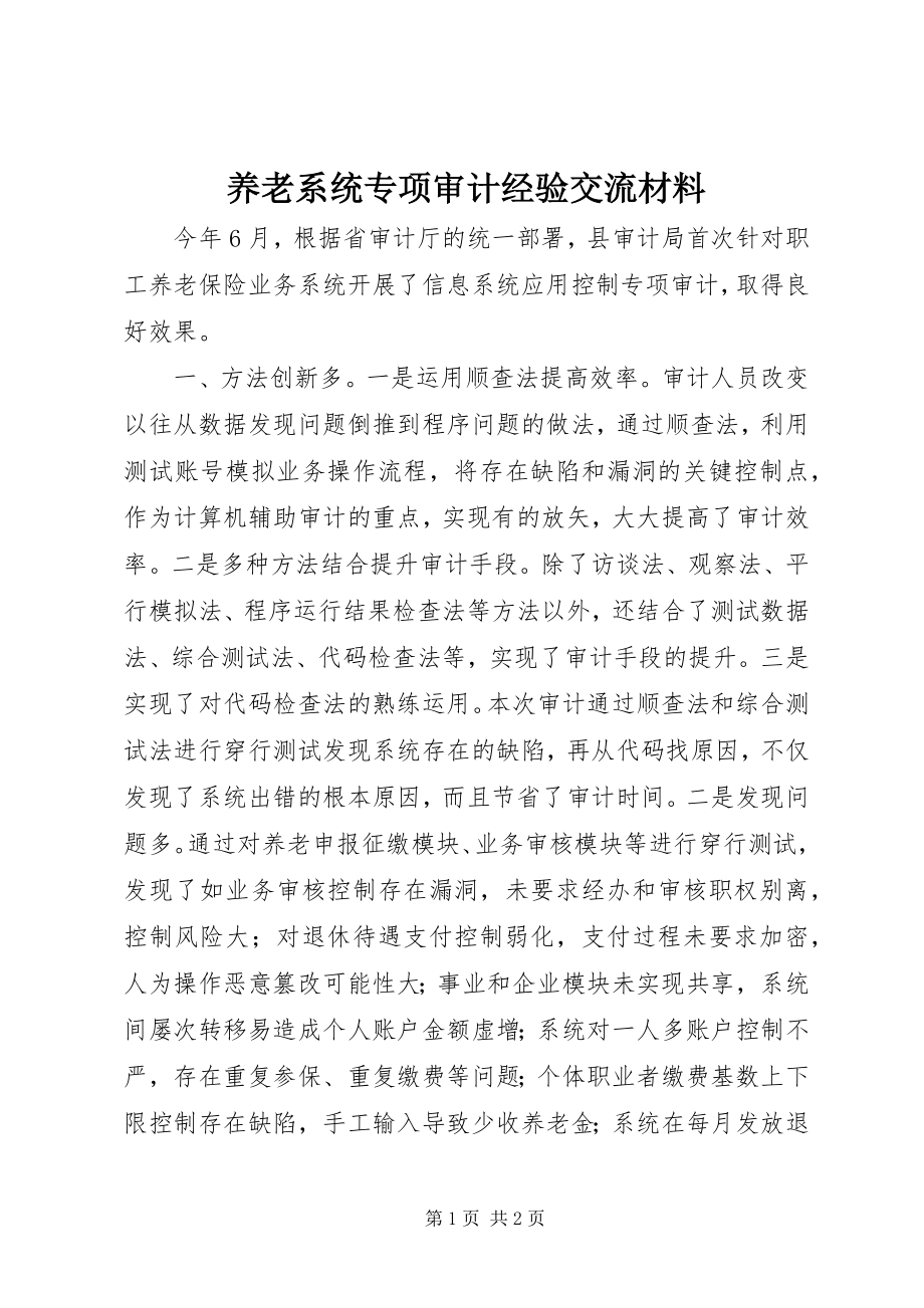 2023年养老系统专项审计经验交流材料.docx_第1页