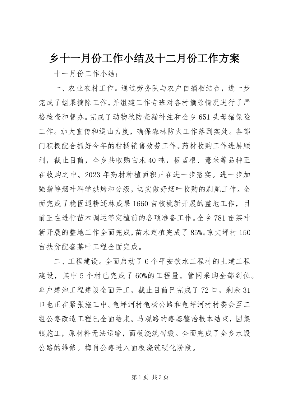 2023年乡十一月份工作小结及十二月份工作计划.docx_第1页