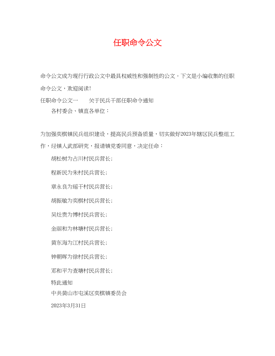 2023年任职命令公文.docx_第1页