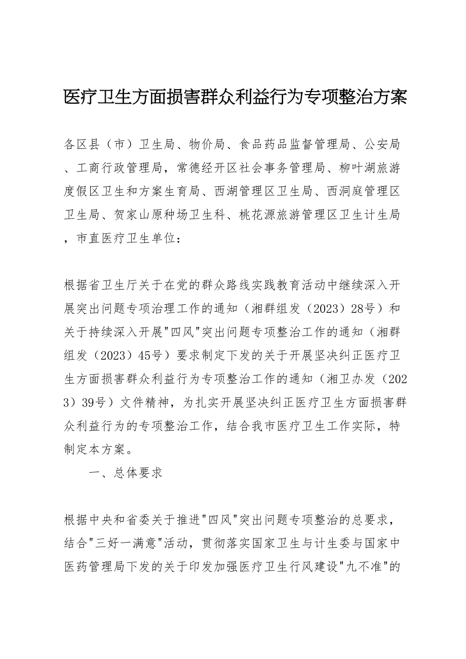 2023年医疗卫生方面损害群众利益行为专项整治方案 5.doc_第1页