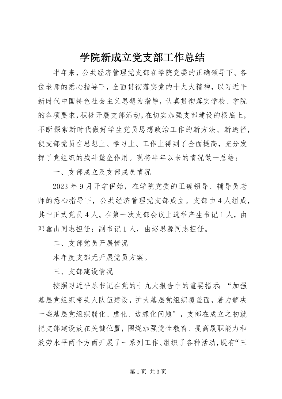 2023年学院新成立党支部工作总结.docx_第1页