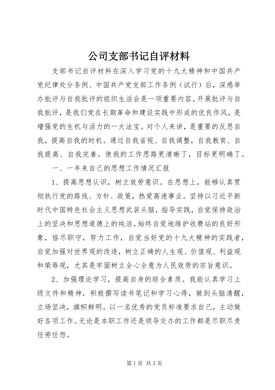 2023年公司支部书记自评材料.docx_第1页