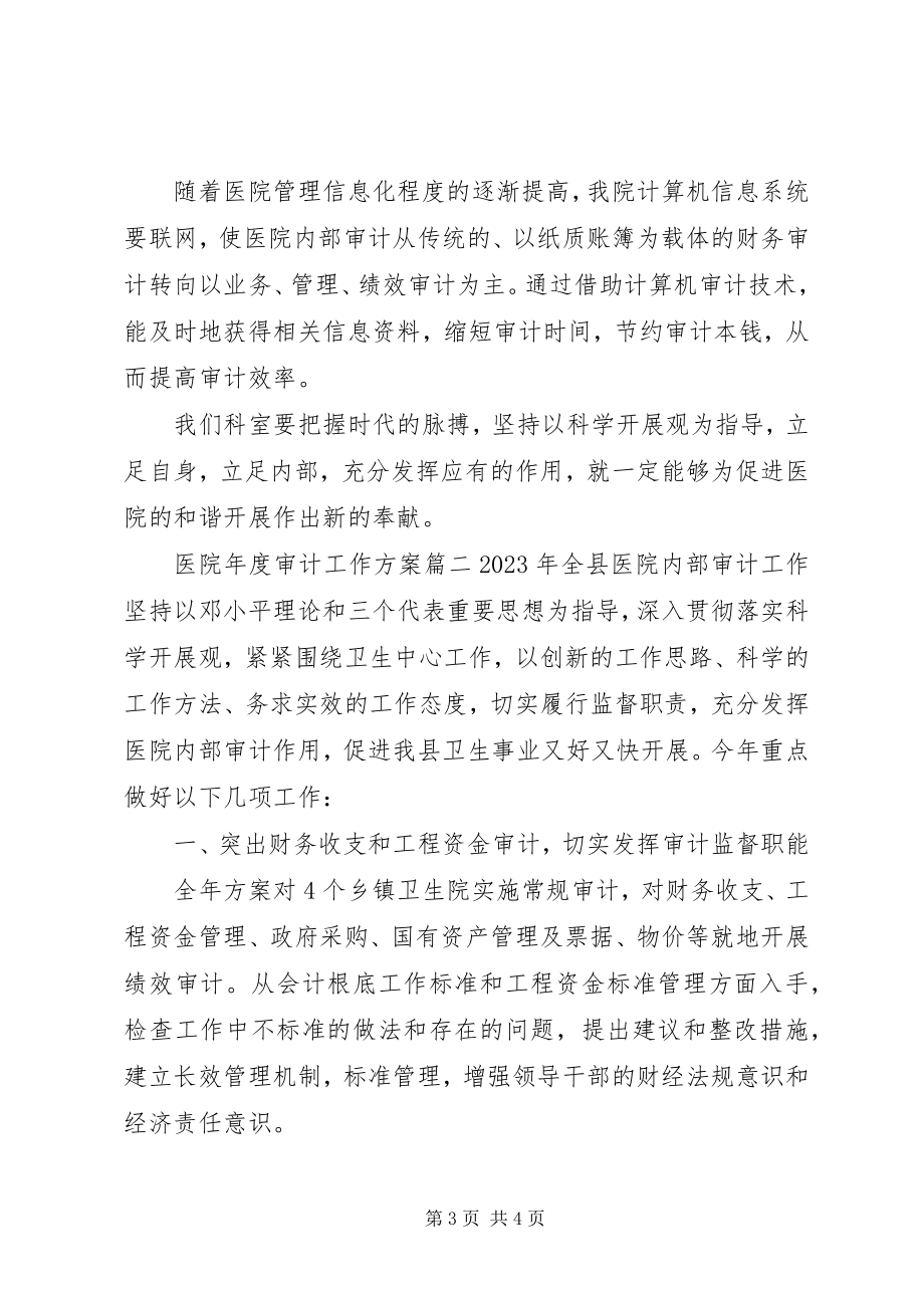 2023年医院年度审计工作计划.docx_第3页