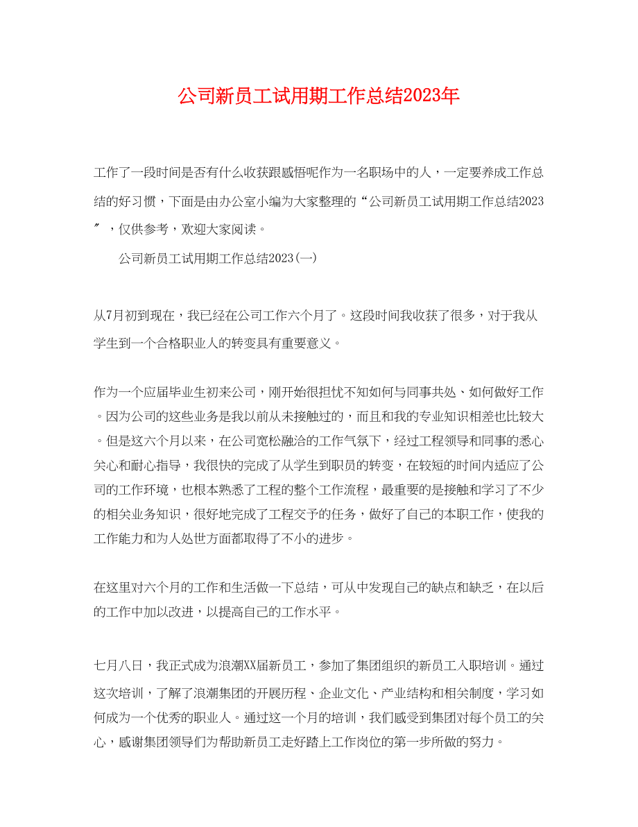 2023年公司新员工试用期工作总结.docx_第1页