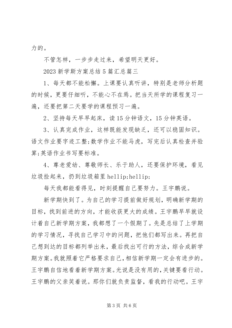 2023年新学斯计划总结5篇汇总.docx_第3页