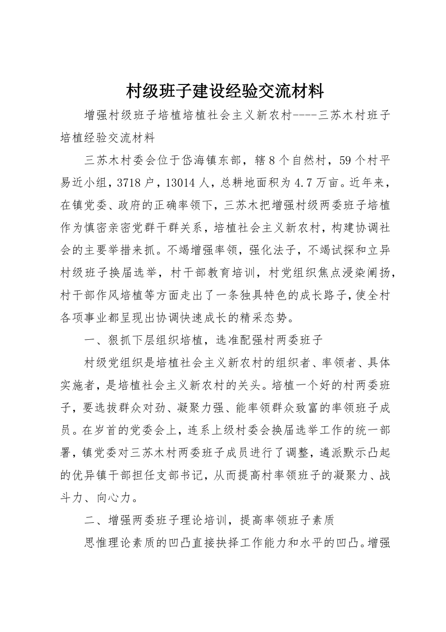 2023年村级班子建设经验交流材料新编.docx_第1页