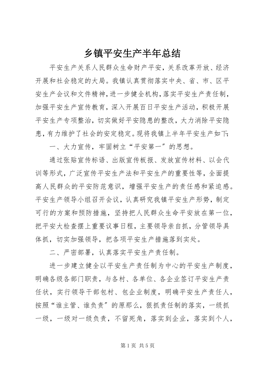 2023年乡镇安全生产半年总结.docx_第1页