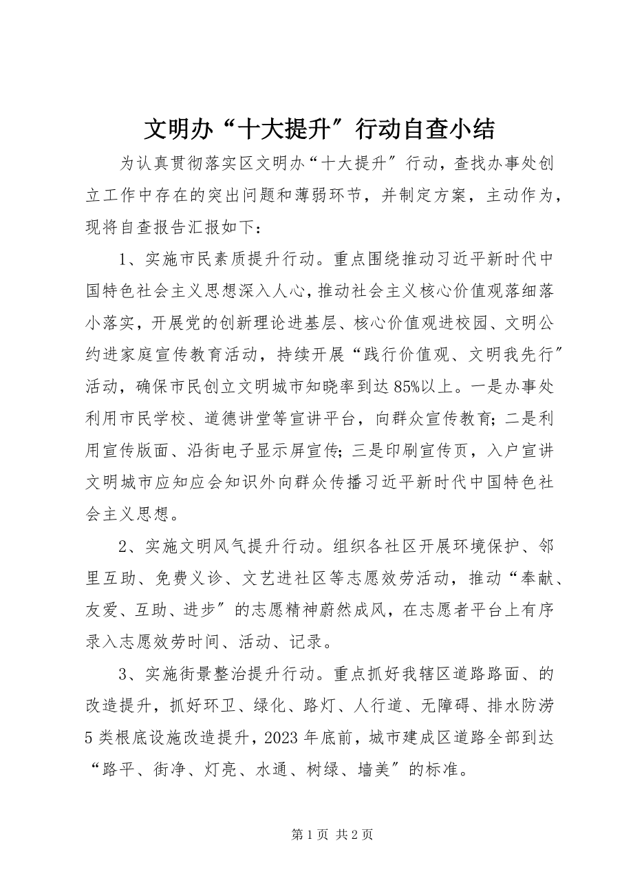 2023年文明办“十大提升”行动自查小结.docx_第1页