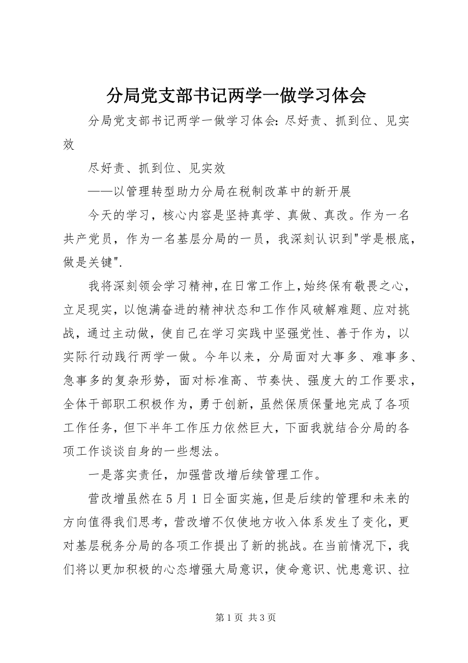 2023年分局党支部书记两学一做学习体会.docx_第1页