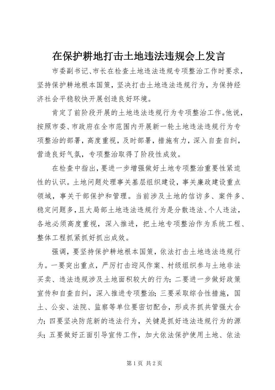 2023年在保护耕地打击土地违法违规会上讲话.docx_第1页