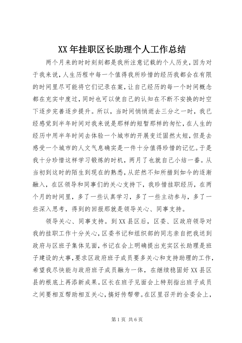 2023年挂职区长助理个人工作总结.docx_第1页