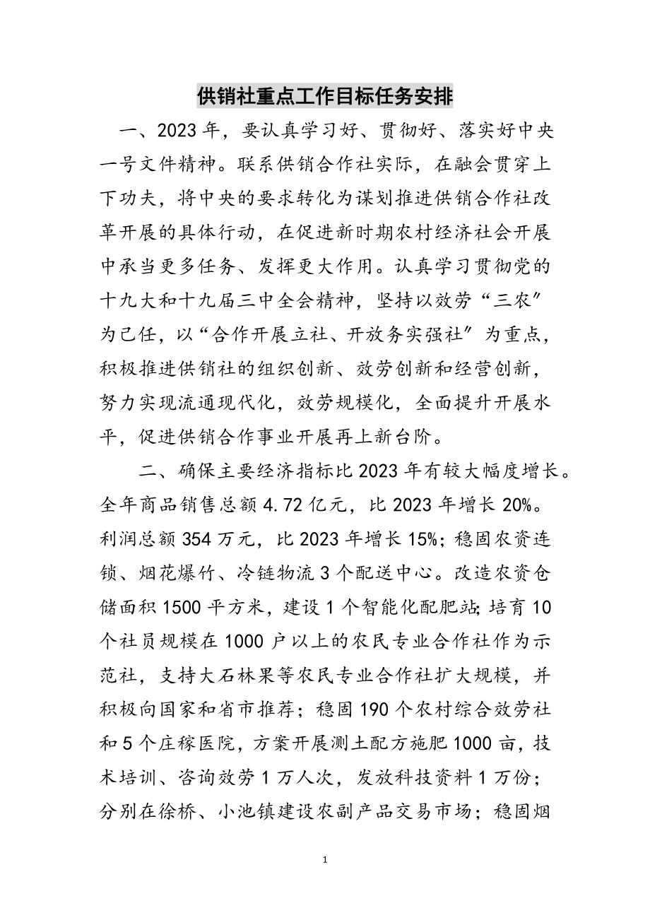 2023年供销社重点工作目标任务安排范文.doc_第1页